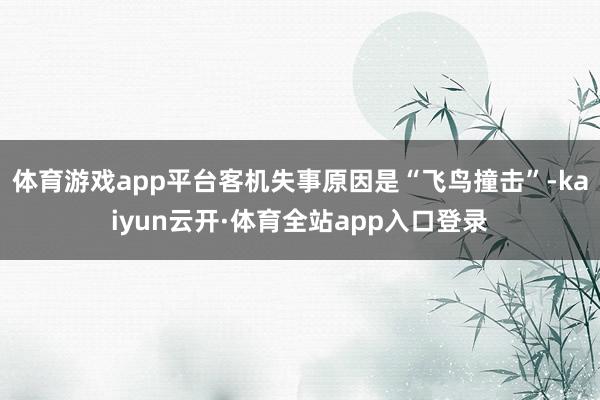 体育游戏app平台客机失事原因是“飞鸟撞击”-kaiyun云开·体育全站app入口登录