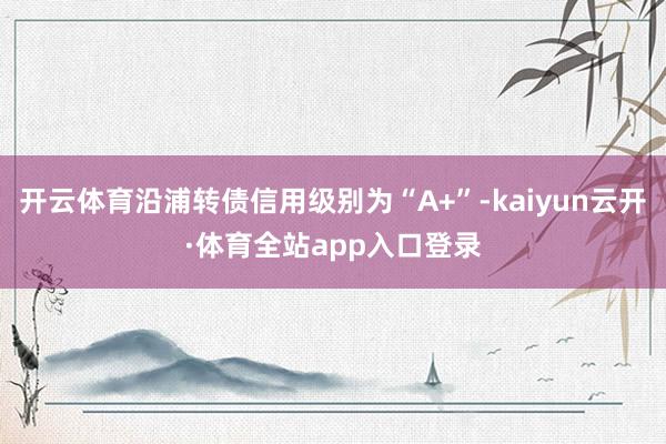 开云体育沿浦转债信用级别为“A+”-kaiyun云开·体育全站app入口登录