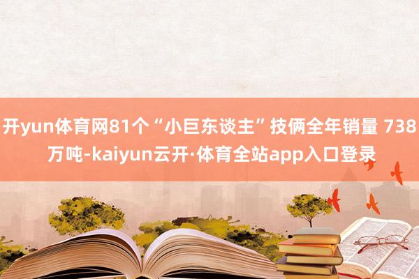 开yun体育网81个“小巨东谈主”技俩全年销量 738 万吨-kaiyun云开·体育全站app入口登录